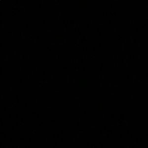 Meet your Posher, Adalisa